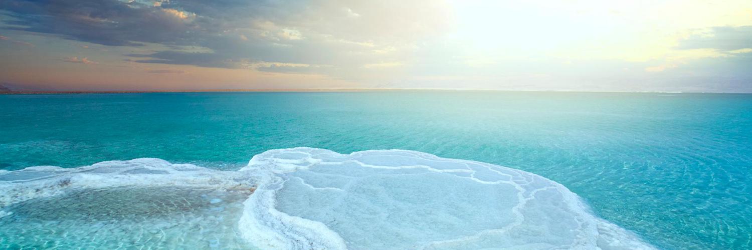 nn_Barone's profile banner image