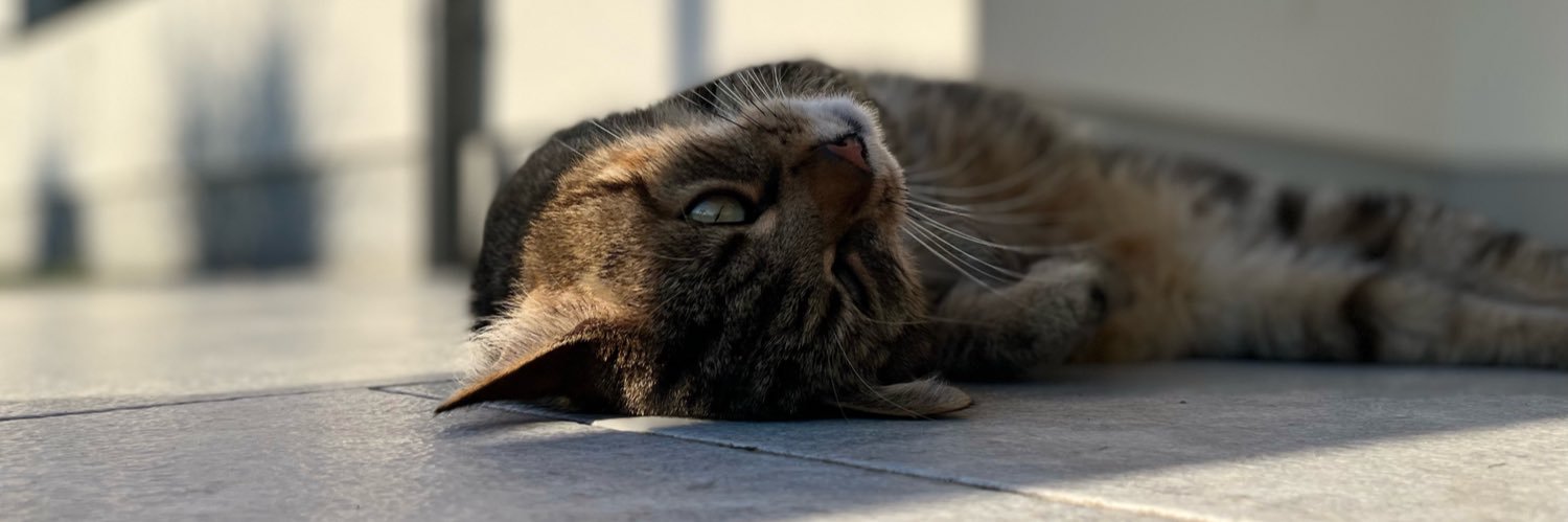 Babsii10's profile banner image