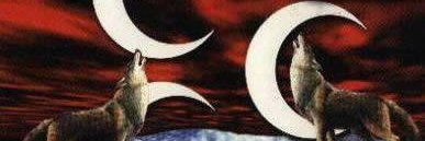 1905___1998's profile banner image