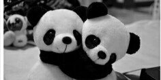StephannyPamela's profile banner image