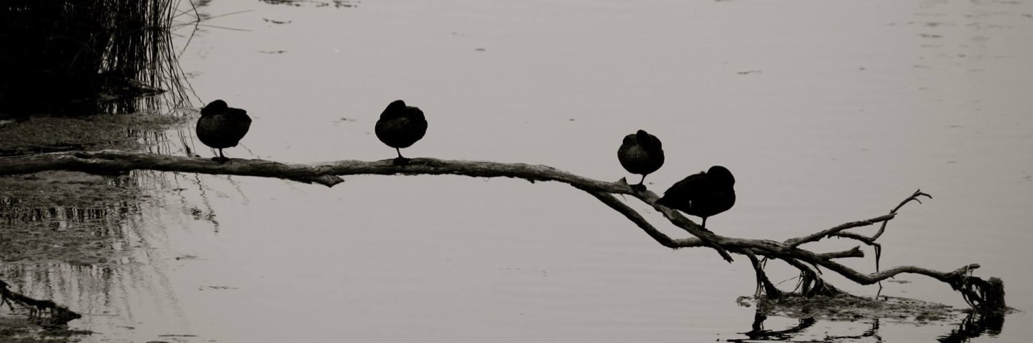 KJC135's profile banner image