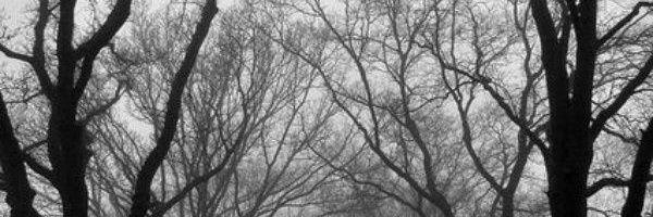 tylerrpgdmb's profile banner image
