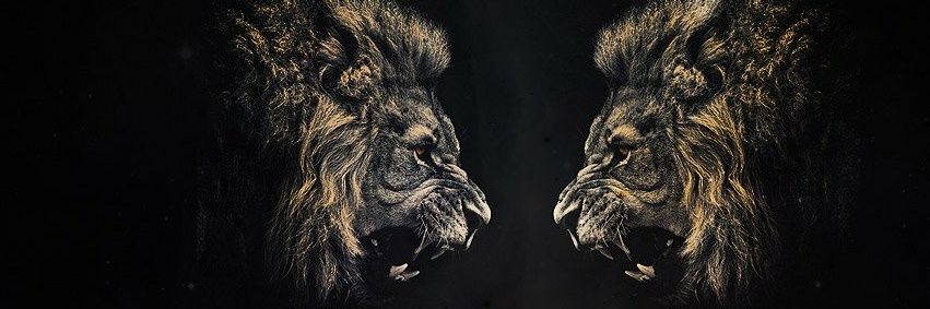iSo_LEEO's profile banner image