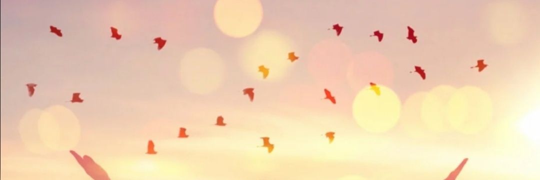 ana2873's profile banner image