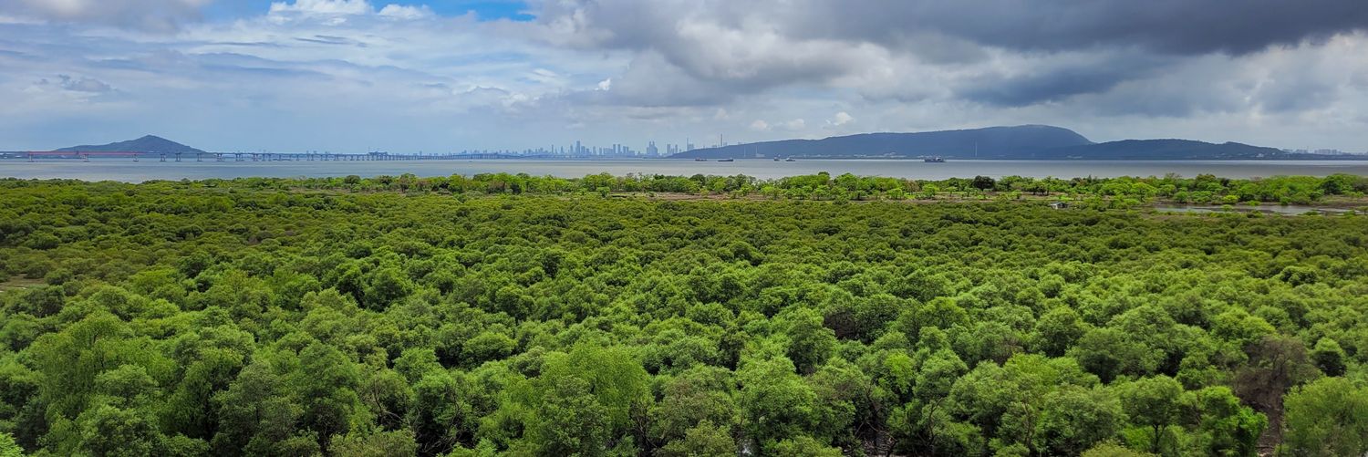 Padmaja Parulkar banner