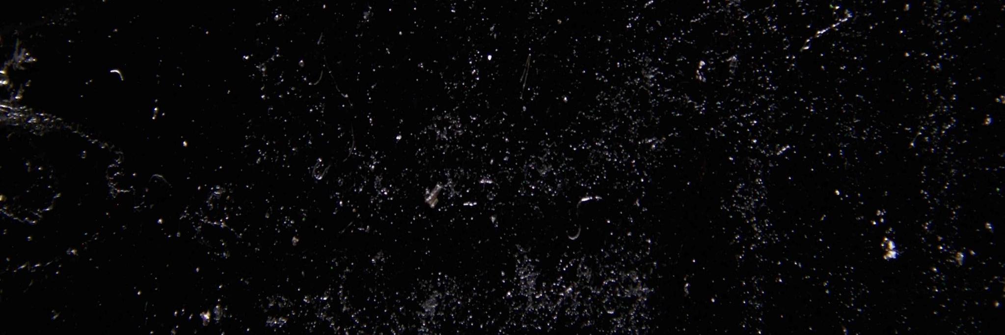 Scottmeow's profile banner image