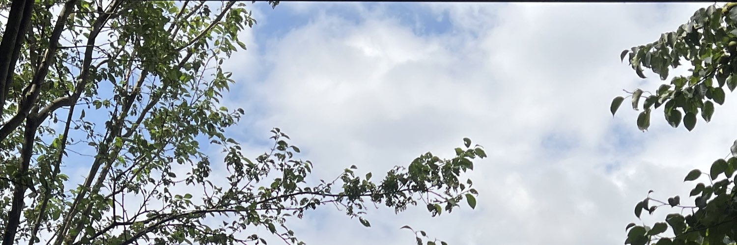 iikil9's profile banner image