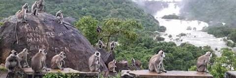 ஆறு பாலா banner