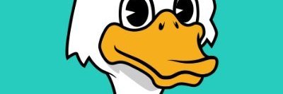 Roman Williams banner