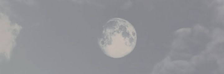 MicheVelasquez's profile banner image