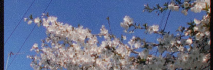 RowleyGeorgina's profile banner image