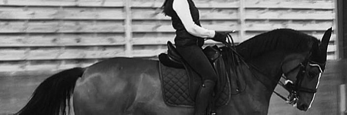 laurasolybriz's profile banner image