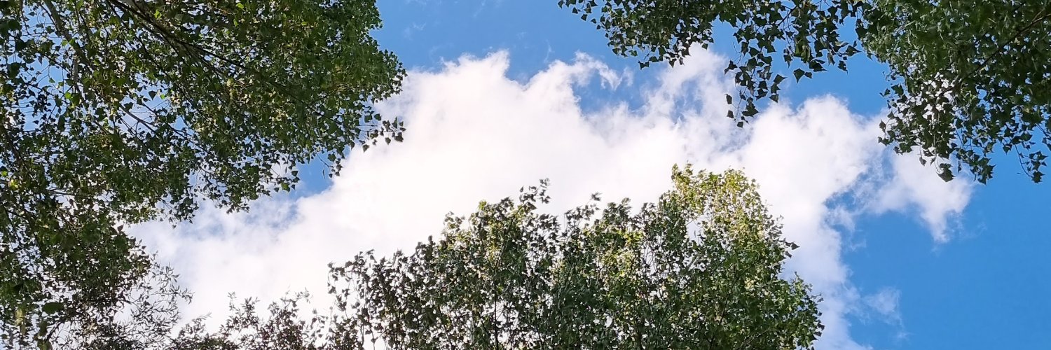 erbabikes's profile banner image