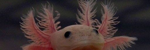 mark4898's profile banner image