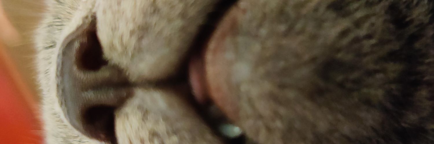 neeuqk's profile banner image