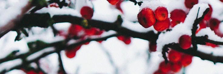 busehdrgl's profile banner image