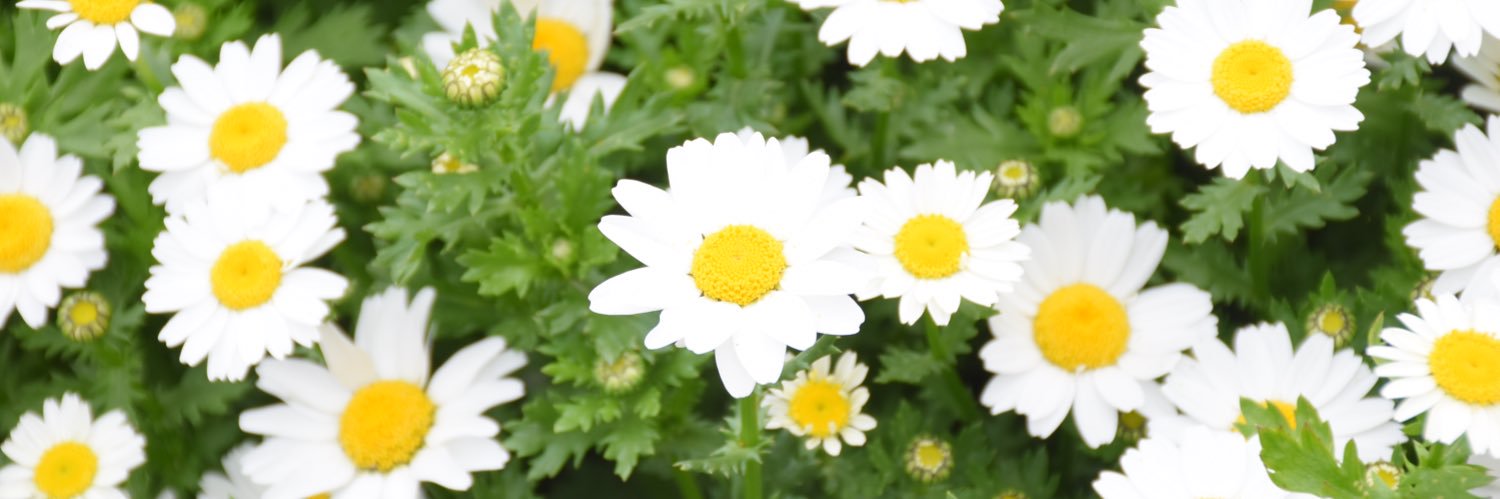 Ty__922's profile banner image
