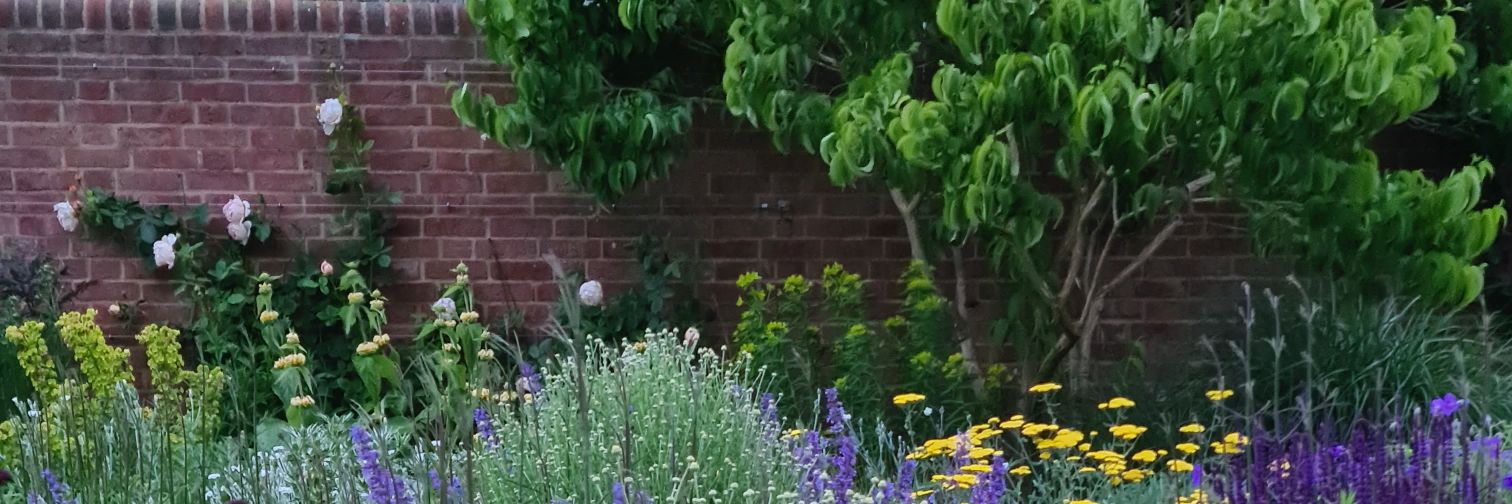 PageAdrienne's profile banner image