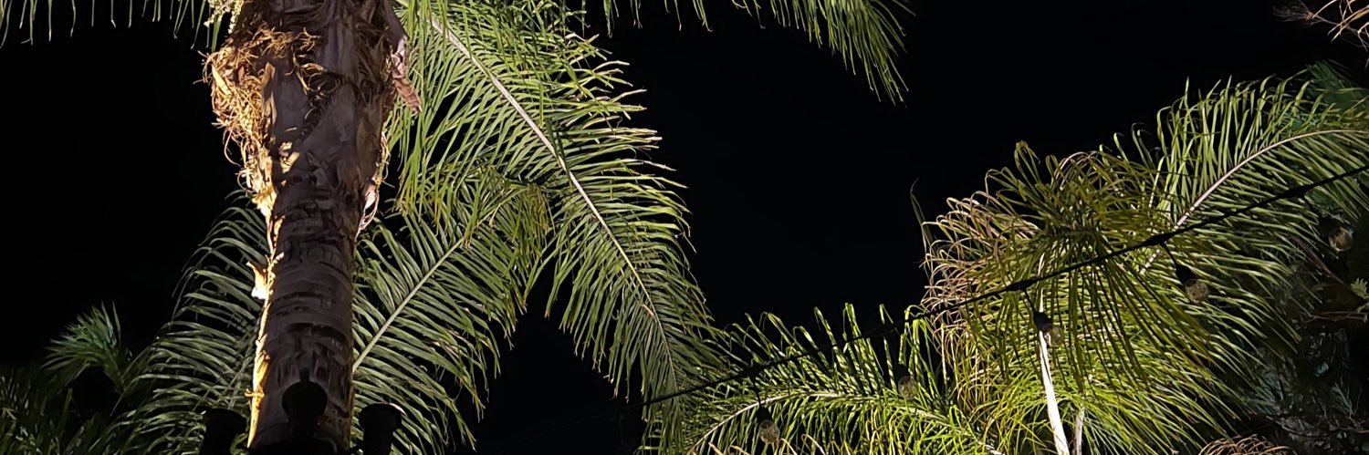 wtlele's profile banner image