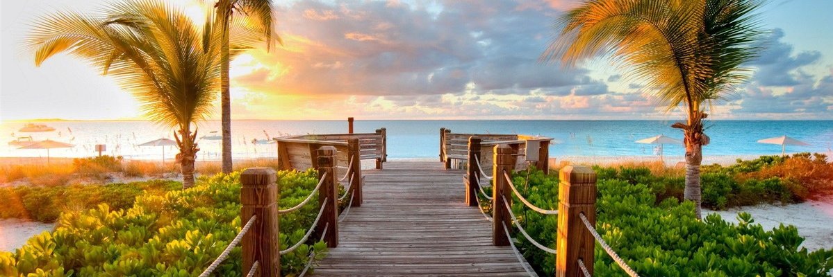vaniarg54's profile banner image