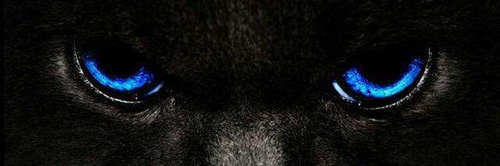 IbrahTchapa's profile banner image