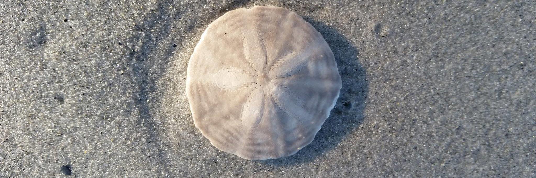 SummrGrl623's profile banner image