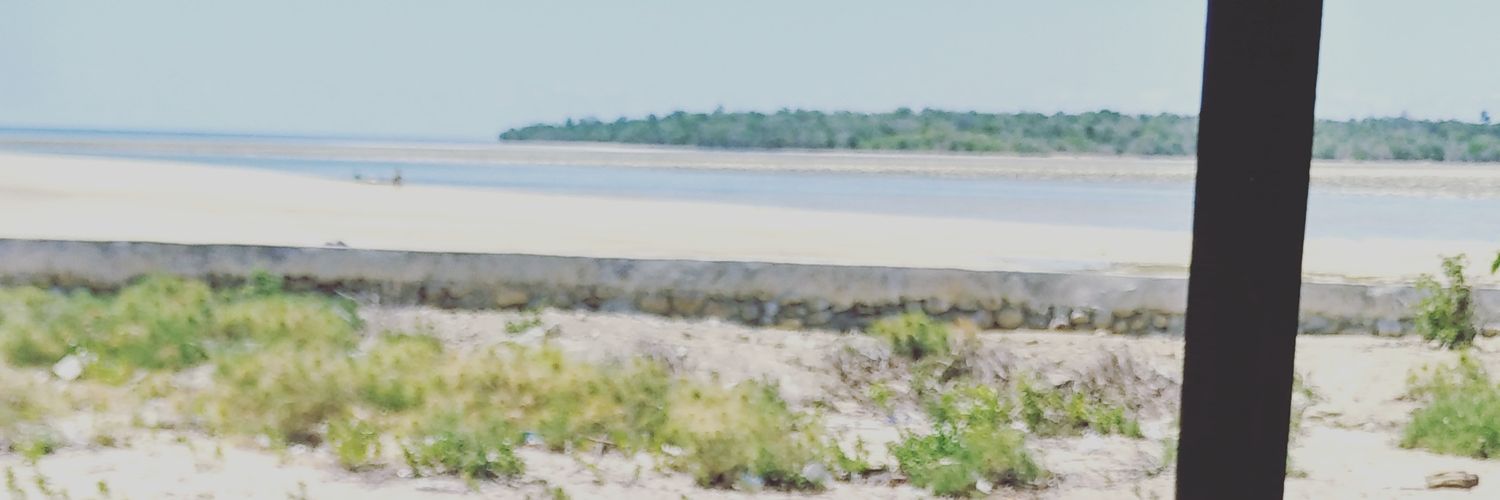 Estuuwt's profile banner image