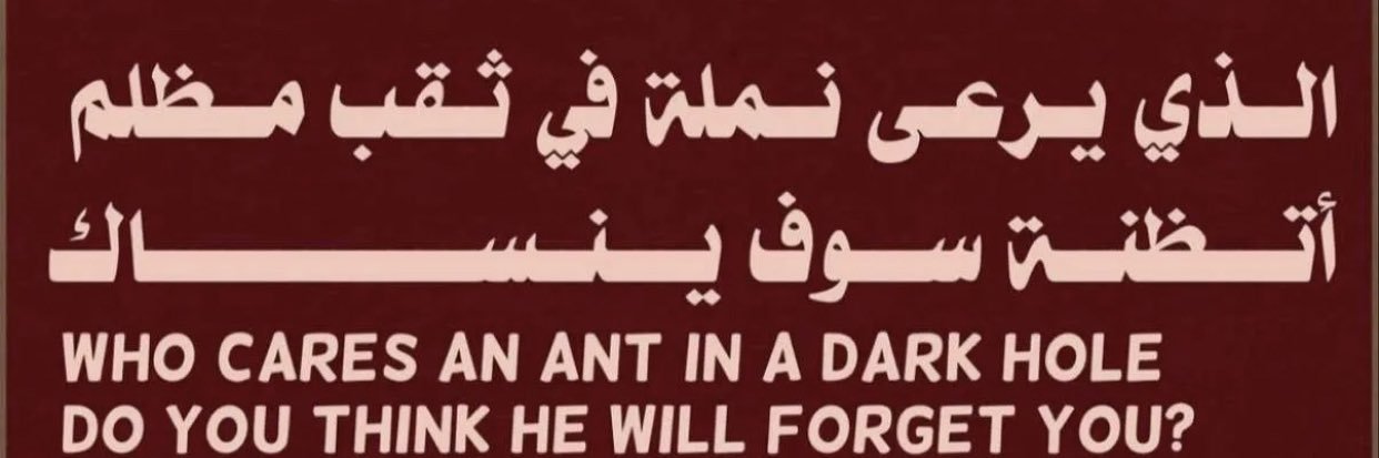 سعد الكبيسي banner