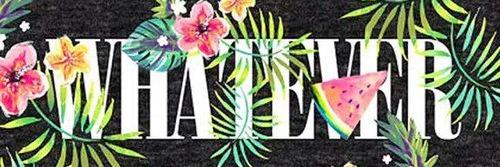 TAEMSOU's profile banner image