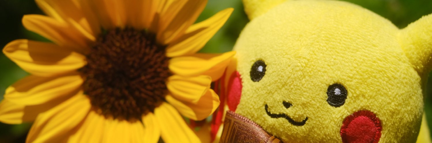 ころんだ banner