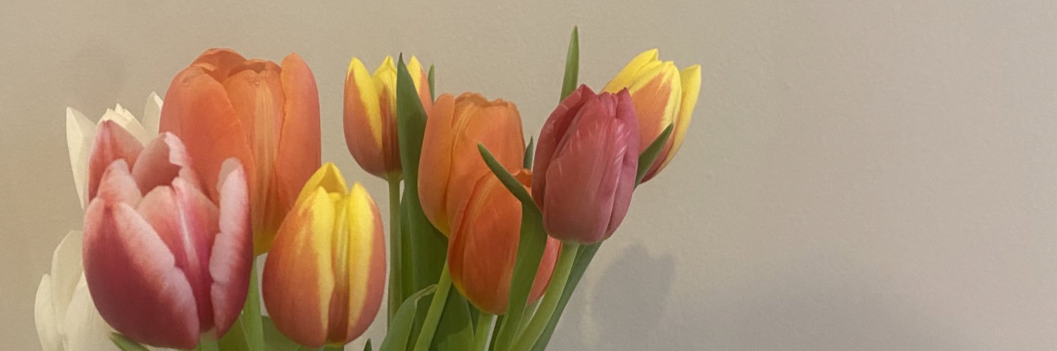 lisarichart_'s profile banner image