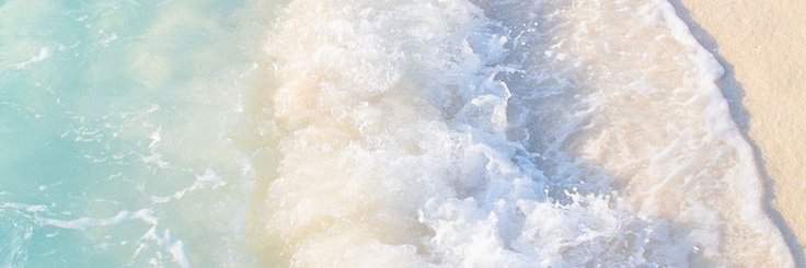 Nikki banner