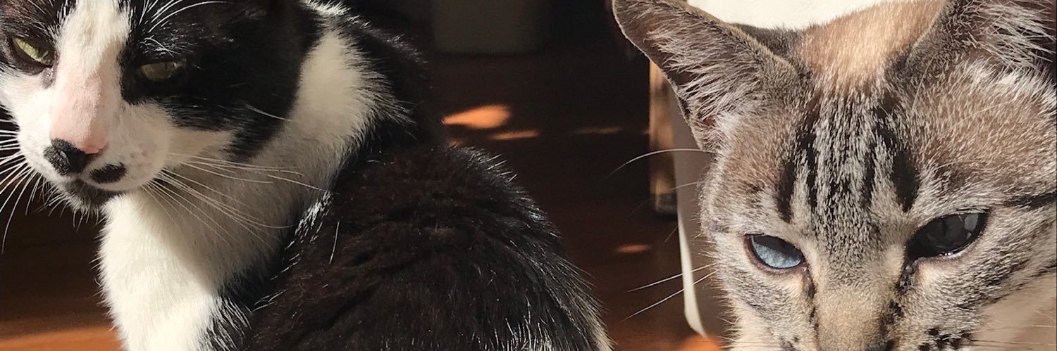 nimykss's profile banner image