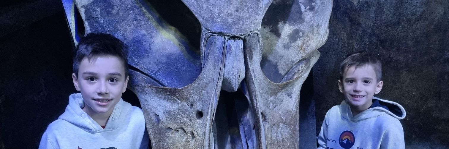 vrzcavalheiro's profile banner image