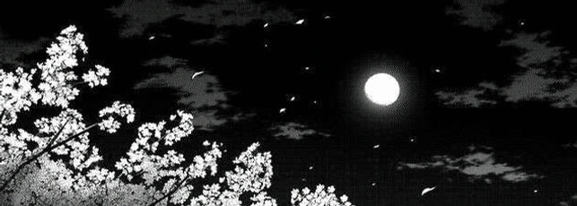 lunaaul2p's profile banner image