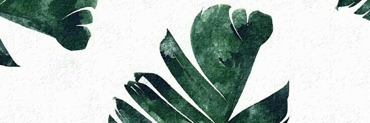 dilayagaoglu's profile banner image