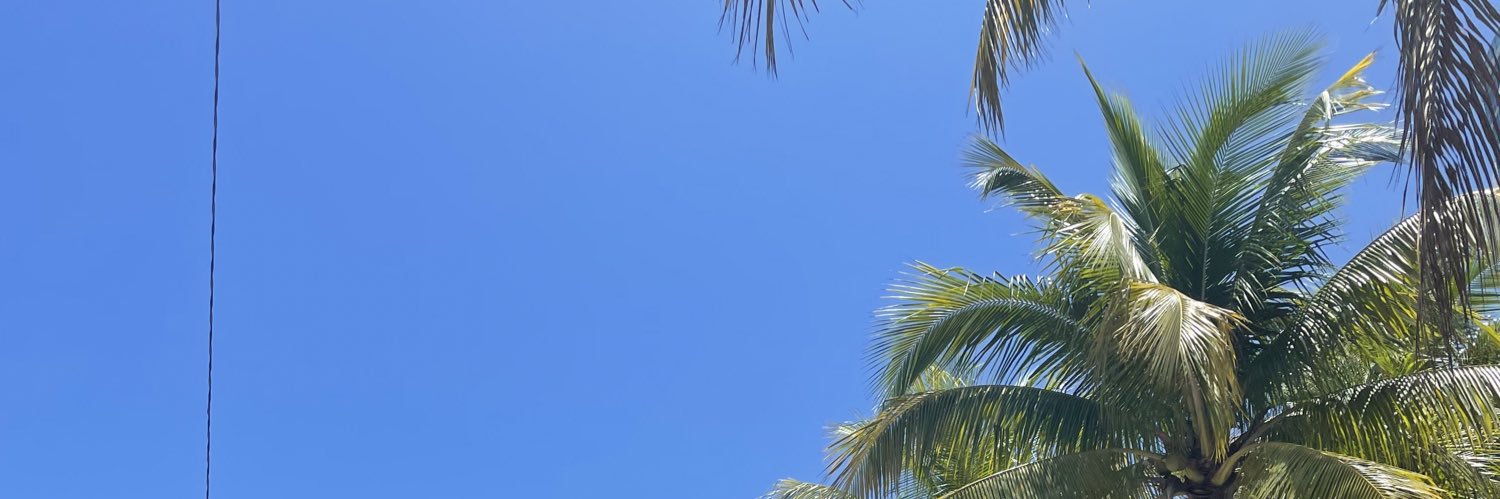 Vasi Argeroplos banner