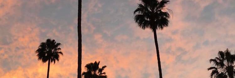 lovelyxbabe's profile banner image