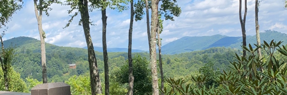_sydneywright_2's profile banner image
