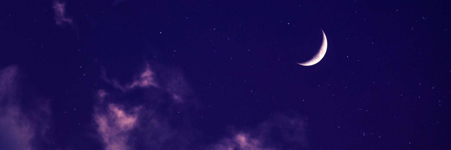 Rayquaza № 384 banner