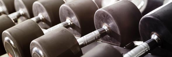 MuscleHQ's profile banner image
