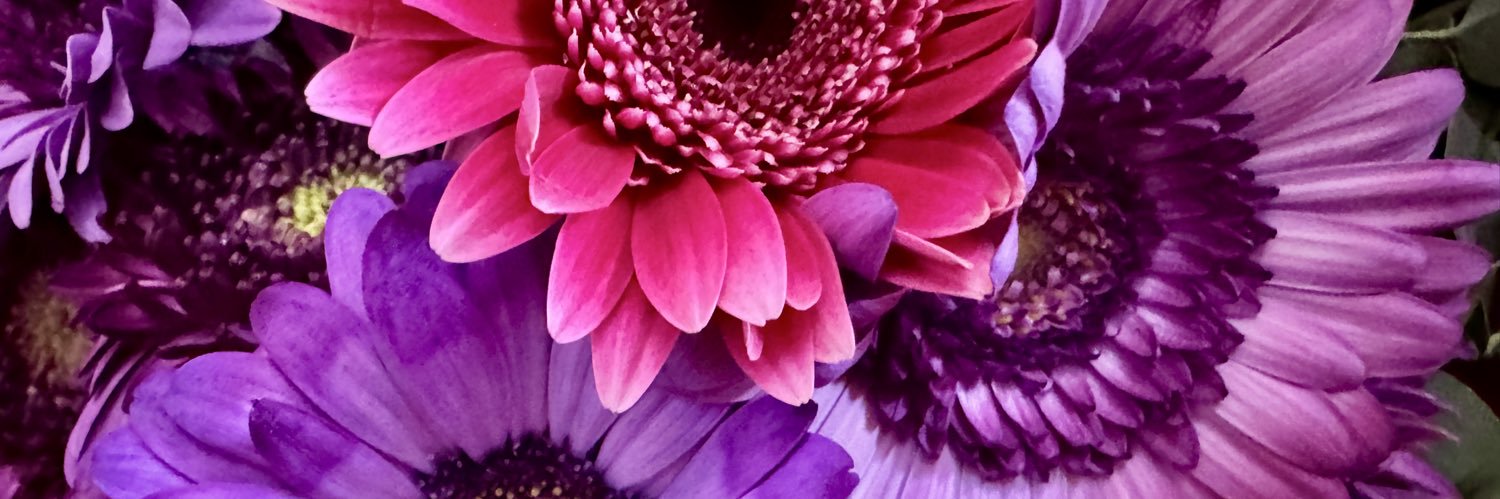 halka_eight's profile banner image