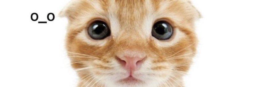 HQNAK0's profile banner image