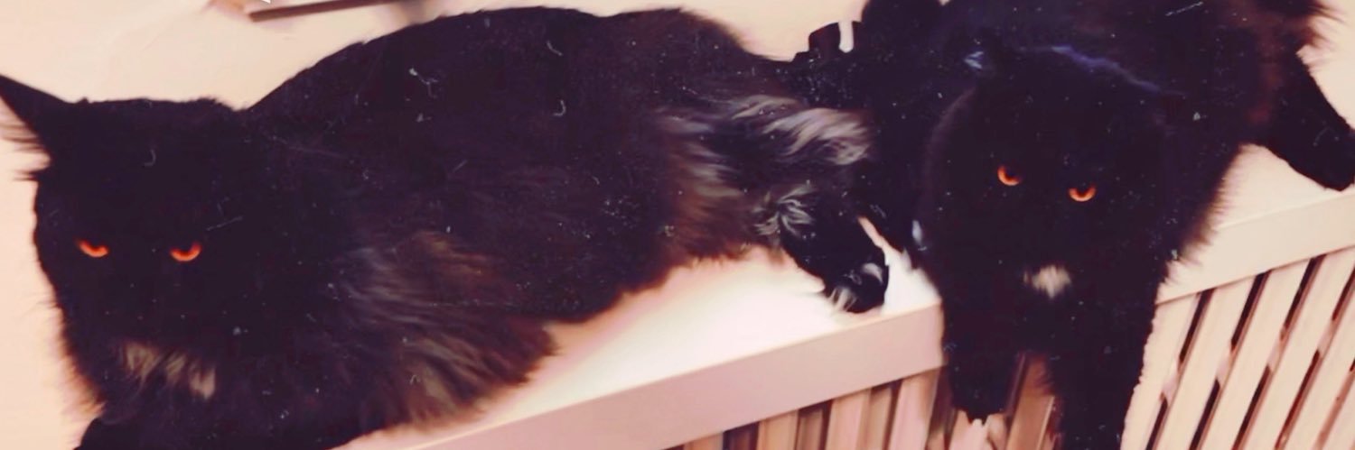torriesstories's profile banner image
