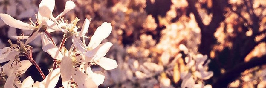 7_____xzergn's profile banner image