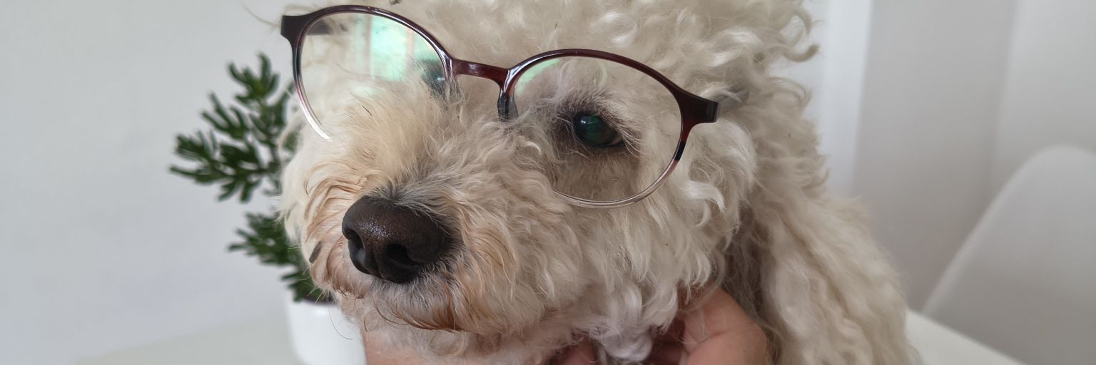 SabrinaFattore's profile banner image