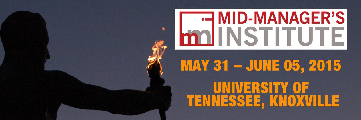 MMI2015 banner