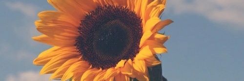 Sarasg23_'s profile banner image