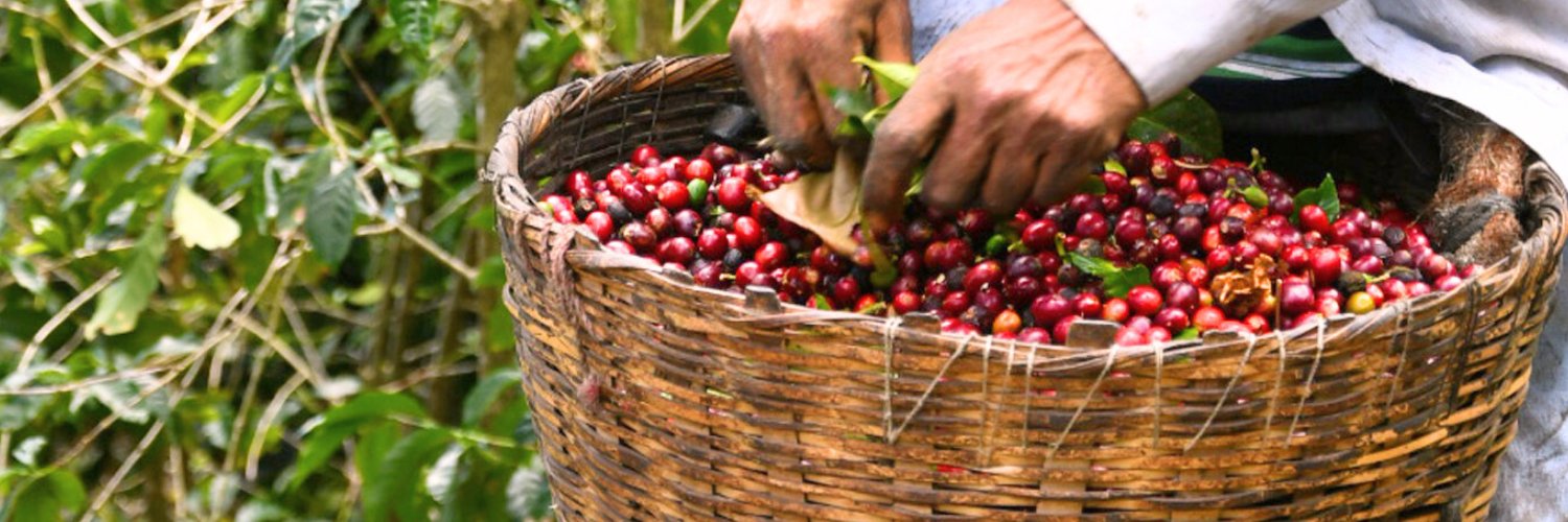 Per'La Coffee banner