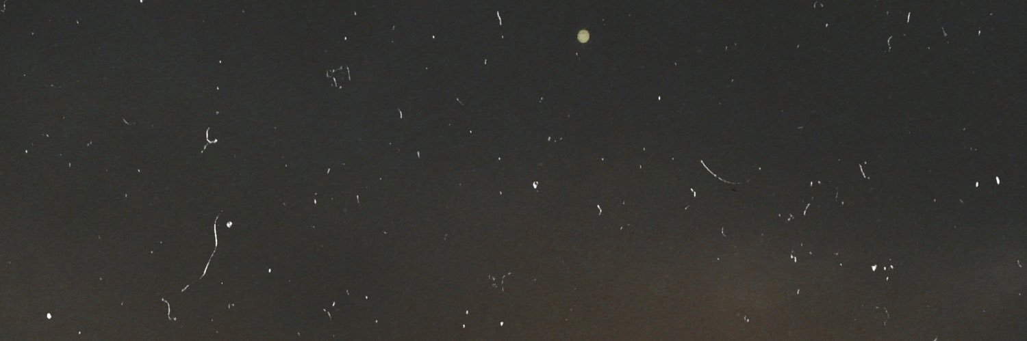 surrendersofi's profile banner image